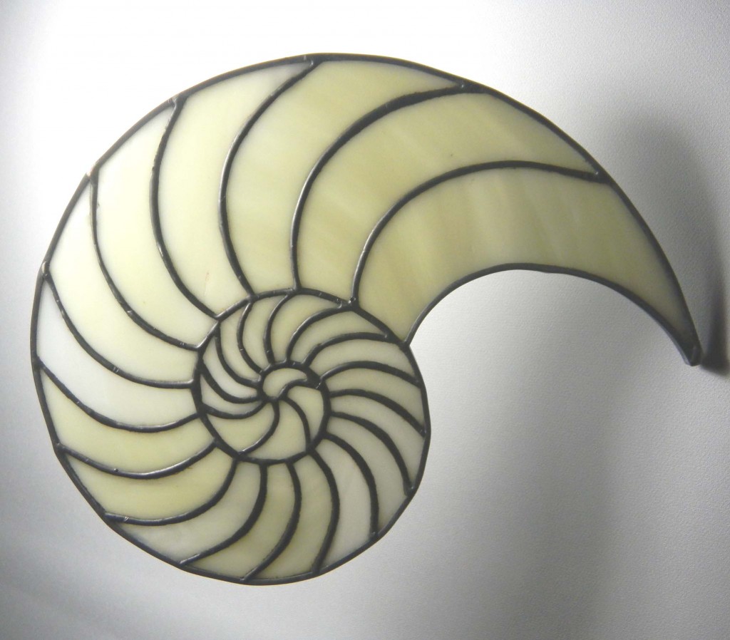 stained-glass-nautilus-0426-visions-stained-glass