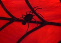 red web spider